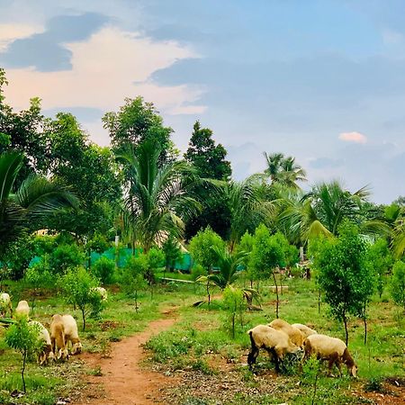 Eco Farm Villa Bangalore Exteriör bild