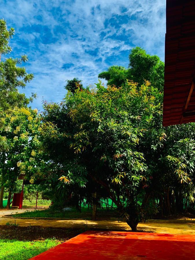 Eco Farm Villa Bangalore Exteriör bild