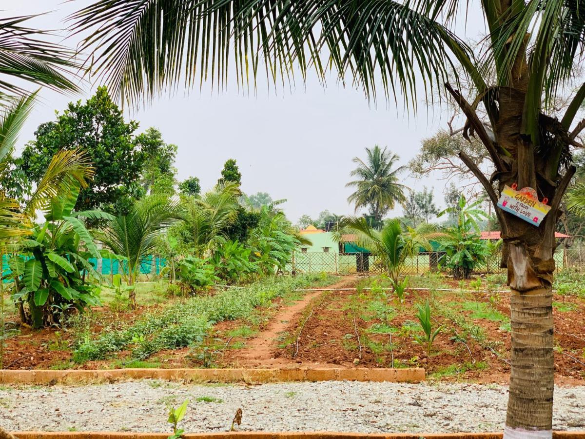 Eco Farm Villa Bangalore Exteriör bild