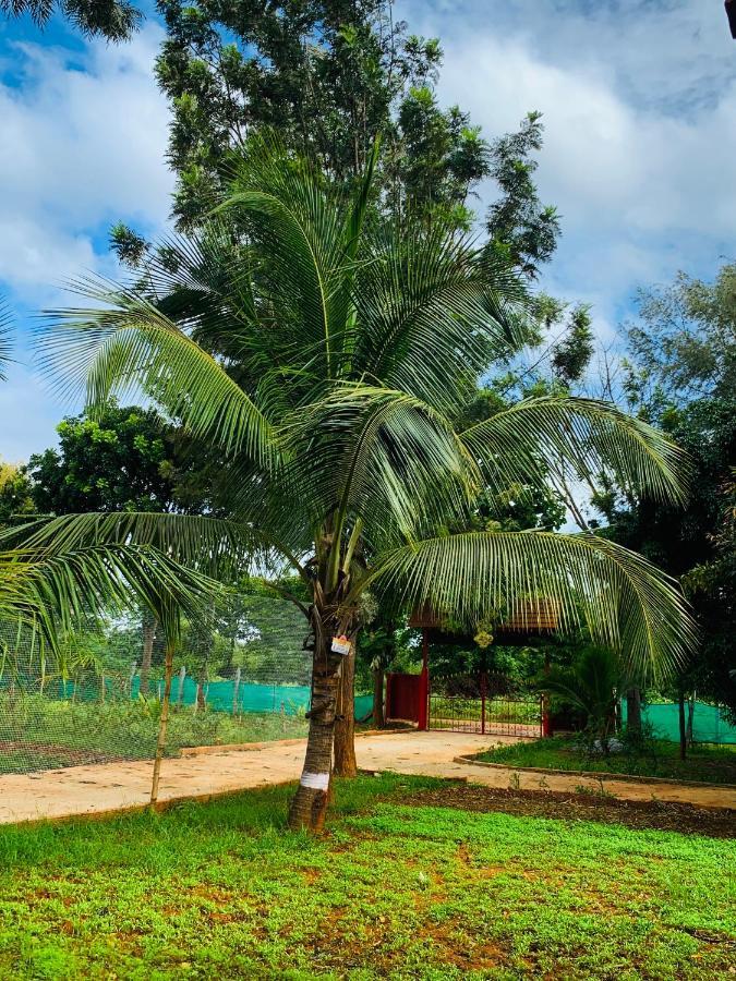 Eco Farm Villa Bangalore Exteriör bild