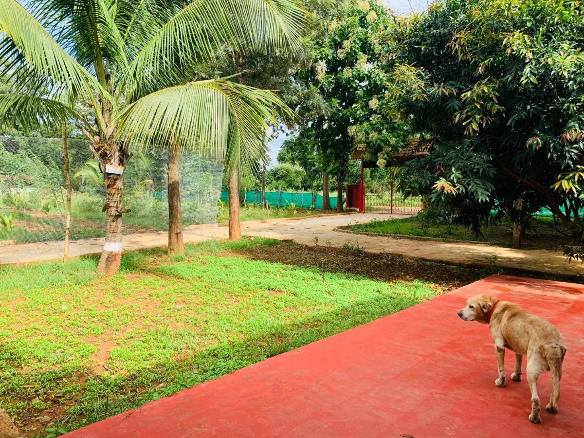 Eco Farm Villa Bangalore Exteriör bild