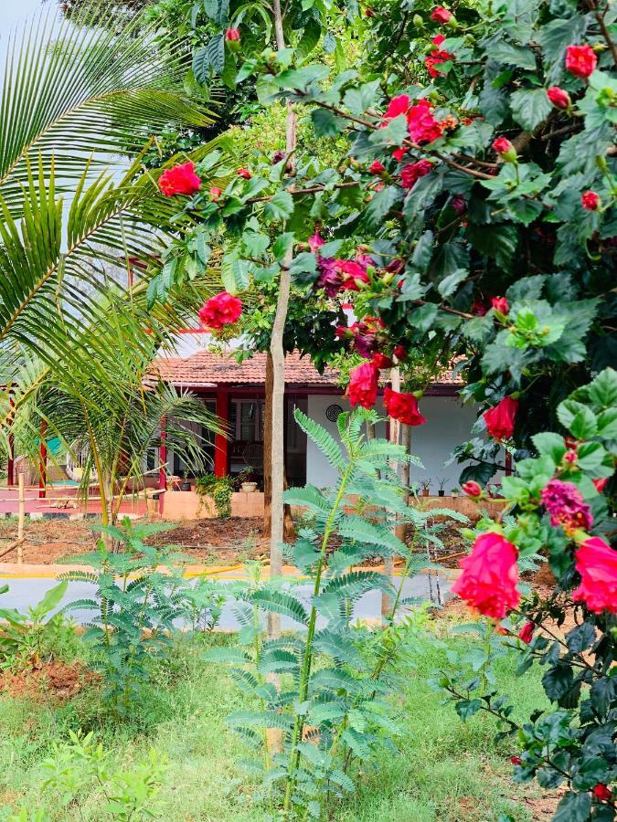 Eco Farm Villa Bangalore Exteriör bild