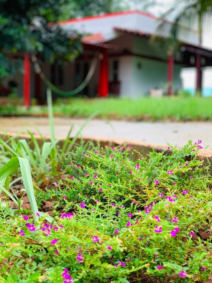 Eco Farm Villa Bangalore Exteriör bild